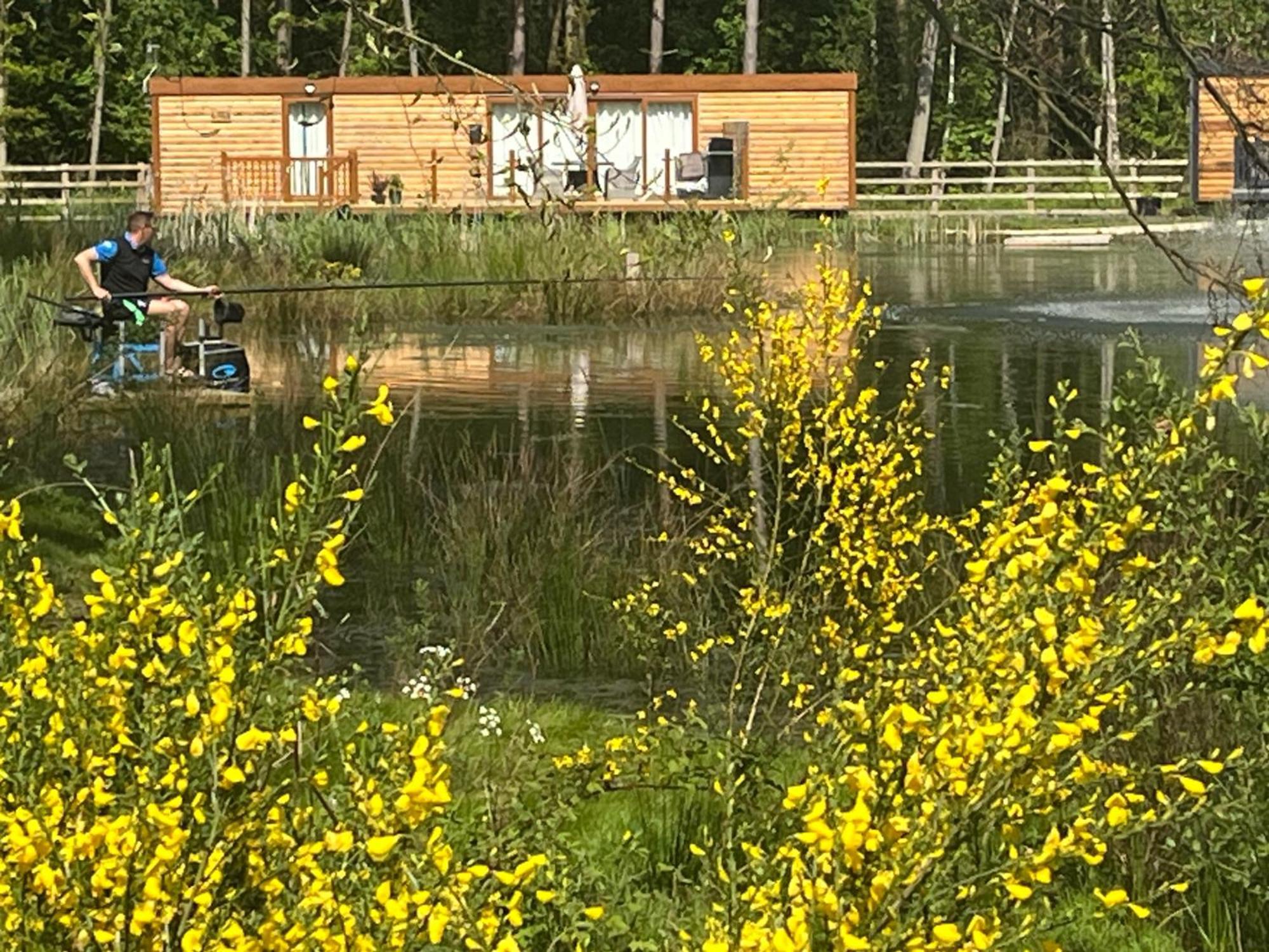 Rowan Boutique Lodge For Couples With A Dog York Bagian luar foto